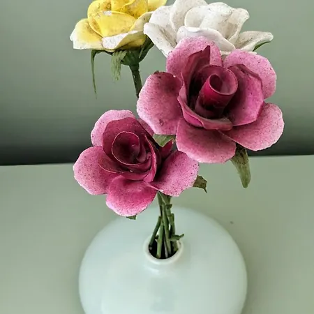 Cuig - Wild Atlantic Way, Galway * Inverin