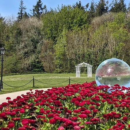 Cuig - Wild Atlantic Way, Galway * Inverin