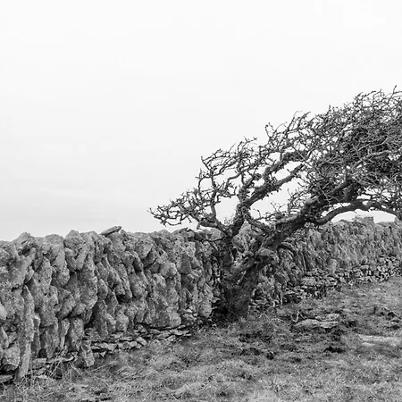 Cuig - Wild Atlantic Way, Galway