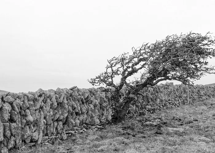 Cuig - Wild Atlantic Way, Galway
